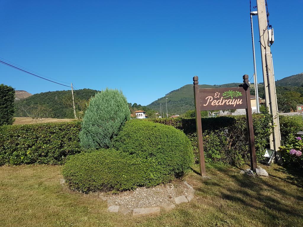 Apartamentos El Pedrayu Onís Kültér fotó